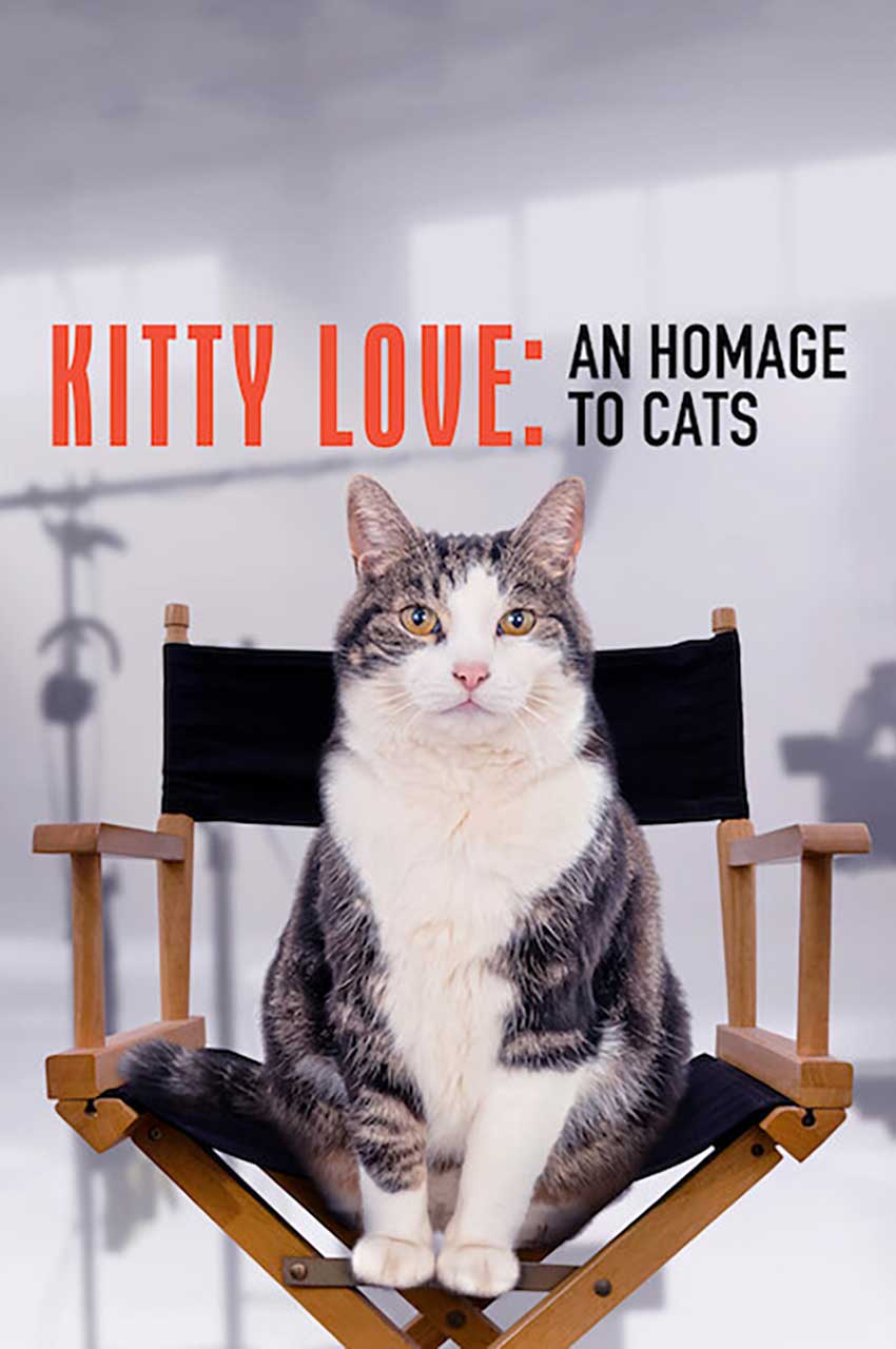 فیلم عشق بچه گربه: دوستی با گربه ها-kitty love: an homage to cats