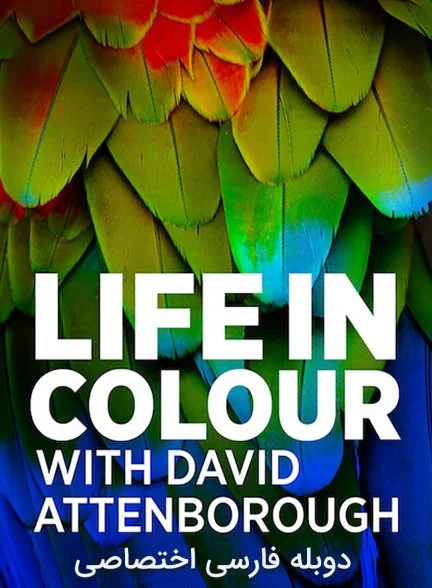 سریال زندگی رنگی-life in colour