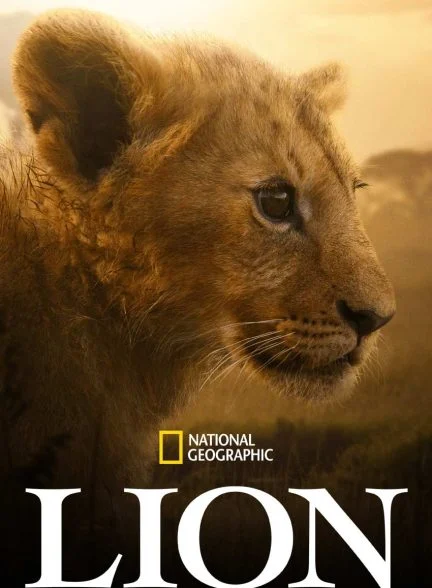 سریال شیر-lion