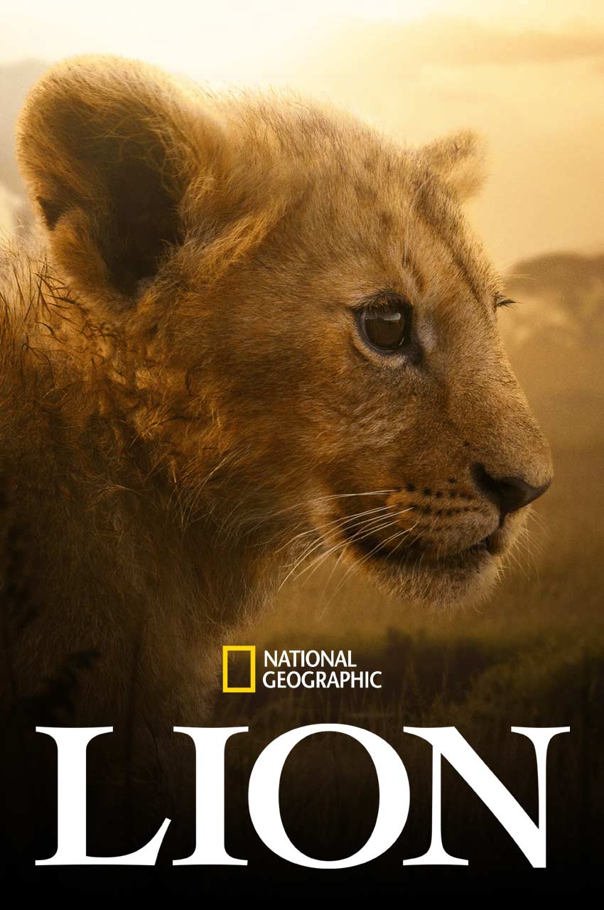 سریال شیر-lion