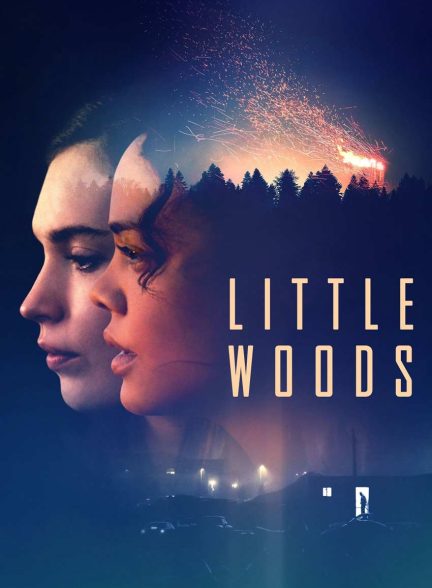فیلم جنگل کوچک-little woods