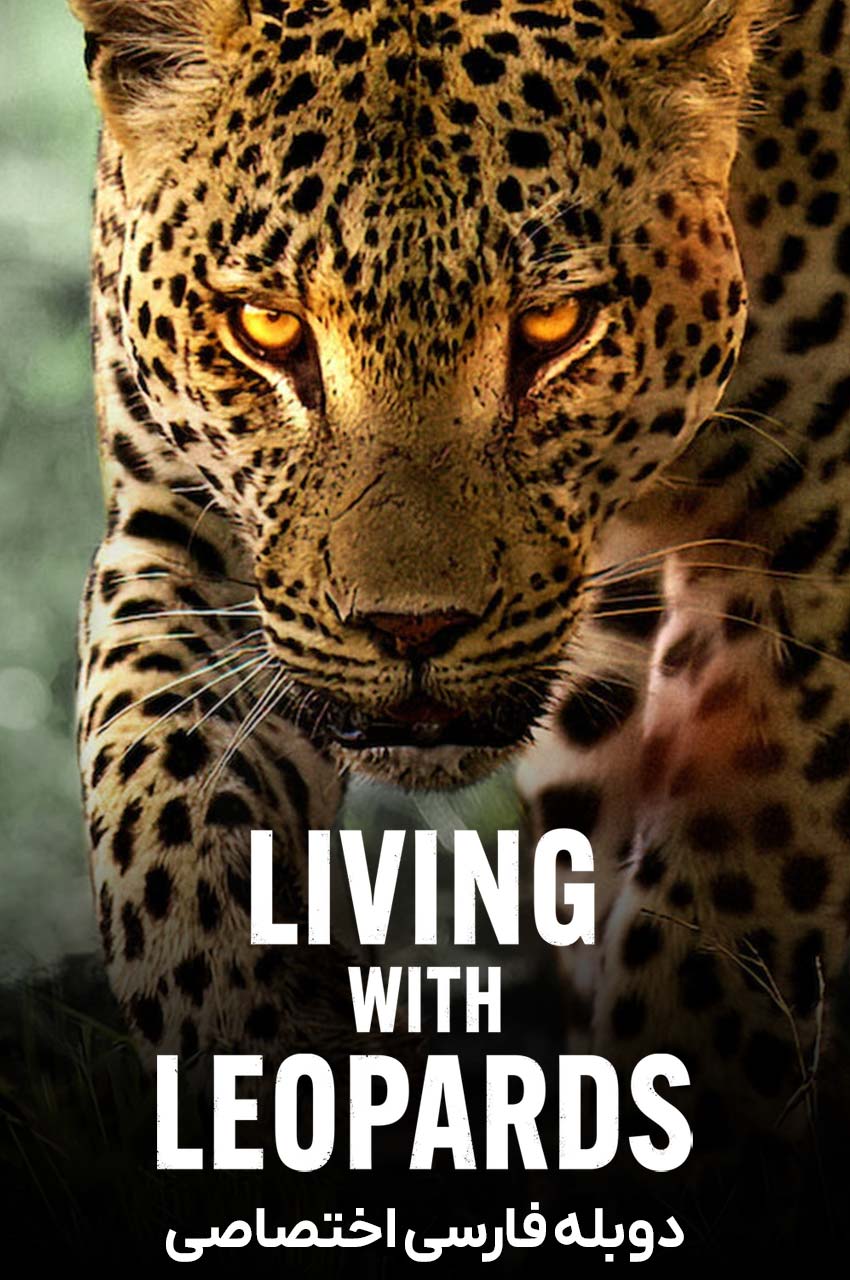 فیلم زندگی با پلنگ ها-living with leopards