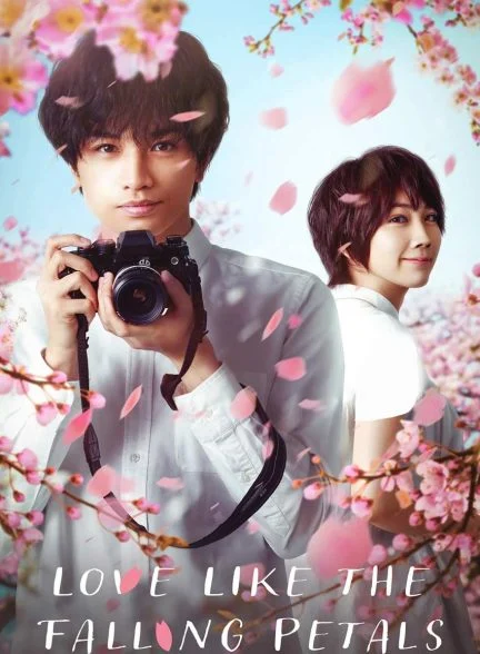 فیلم عشقی مثل گلبرگ های در حال ریزش-love like the falling petals
