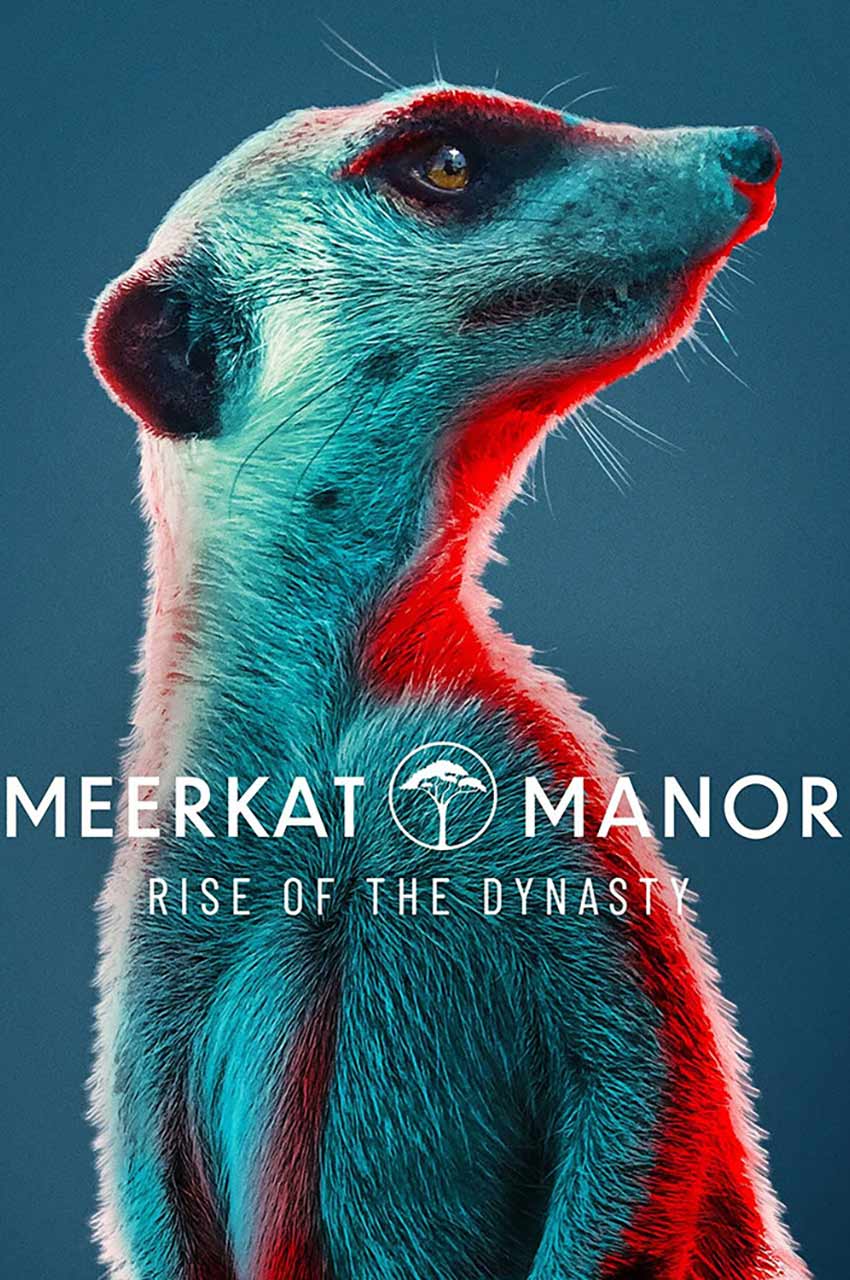 سریال قلمرو میرکات ها: آغاز سلسله-meerkat manor: rise of the dynasty