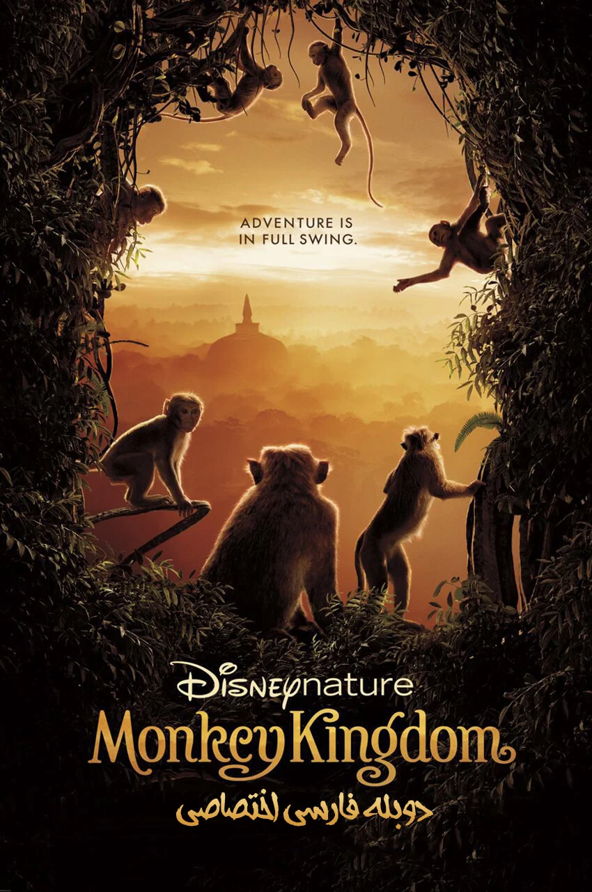 فیلم قلمرو میمون‌ها-monkey kingdom