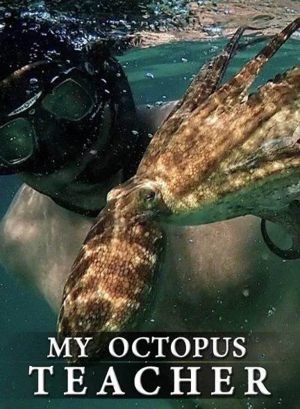 فیلم معلم اختاپوس من-my octopus teacher