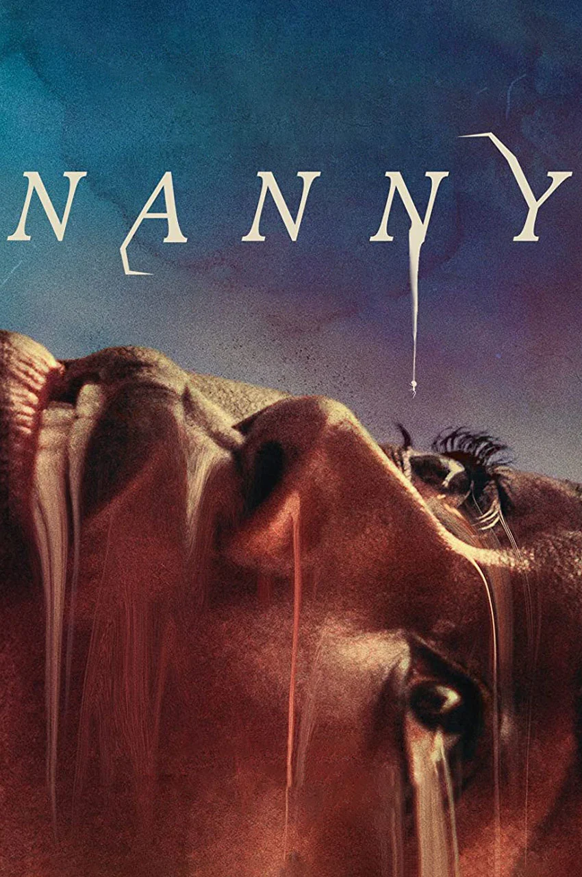 فیلم پرستار بچه-nanny