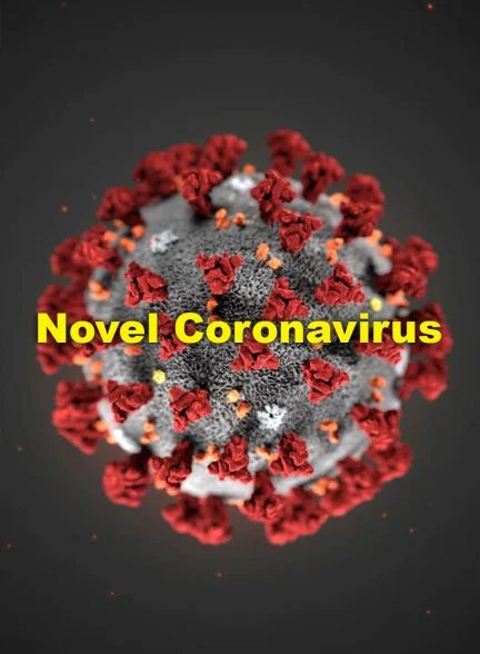 فیلم کرونا ، ویروس نوظهور-novel coronavirus