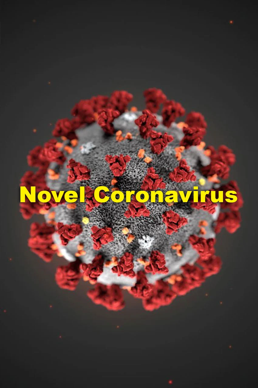 فیلم کرونا ، ویروس نوظهور-novel coronavirus