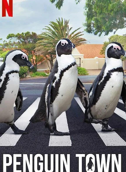 سریال شهر پنگوئن-penguin town