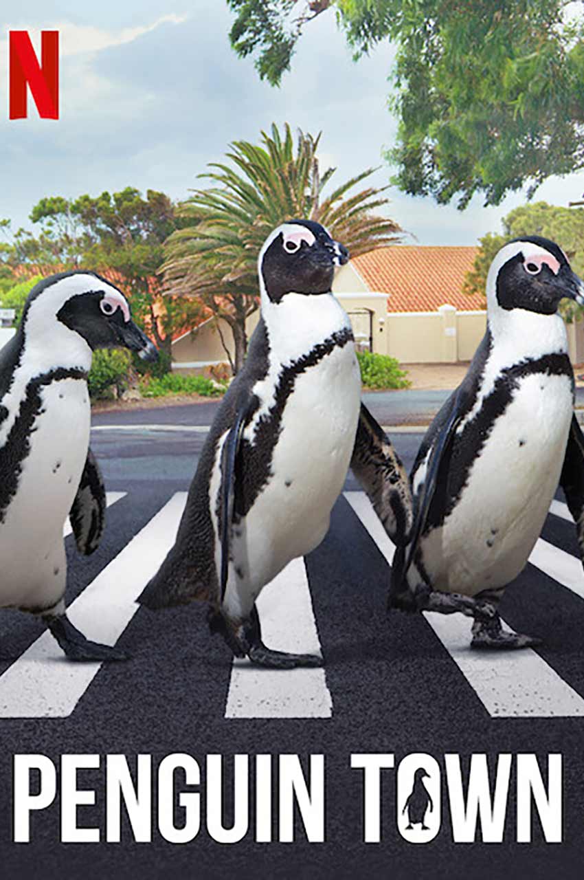 سریال شهر پنگوئن-penguin town