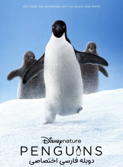 فیلم پنگوئن‌ها-penguins