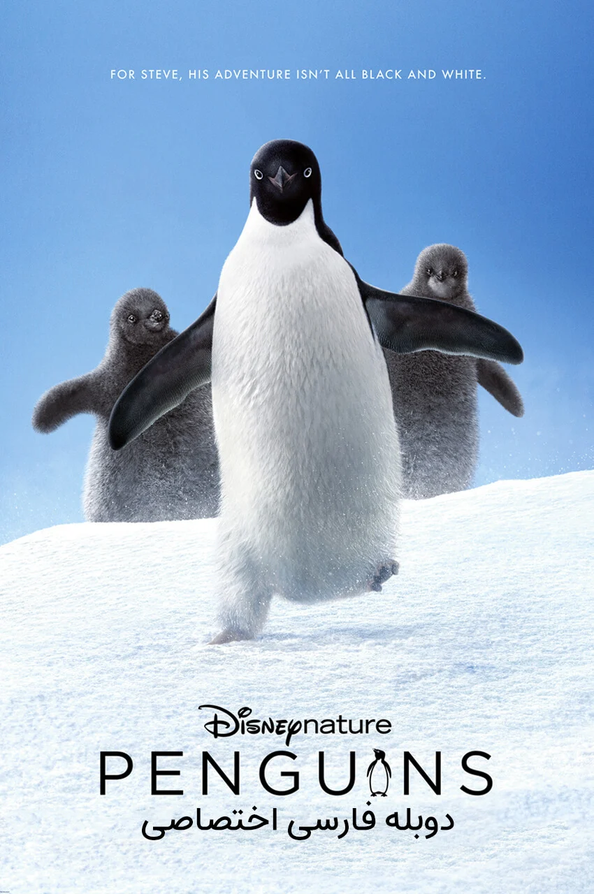 فیلم پنگوئن‌ها-penguins