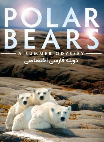فیلم خرس‌های قطبی: یک ادیسه تابستانی-polar bears: a summer odyssey