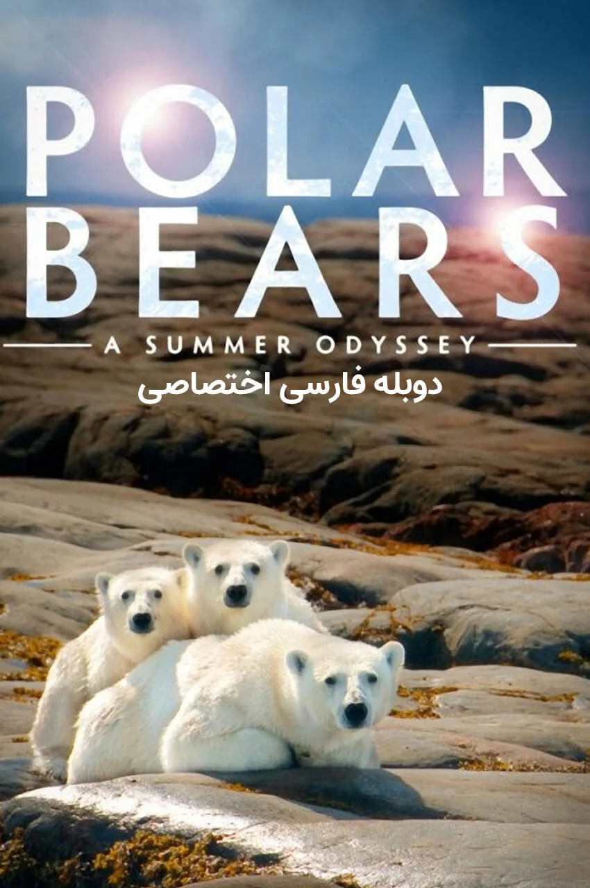 فیلم خرس‌های قطبی: یک ادیسه تابستانی-polar bears: a summer odyssey