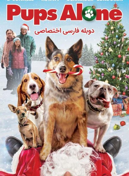 فیلم تنها در خانه سگی-pups alone: a christmas peril