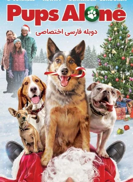 فیلم تنها در خانه سگی-pups alone: a christmas peril