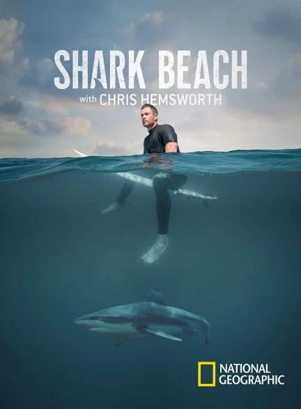 فیلم ساحل کوسه با کریس همسورث-shark beach with chris hemsworth