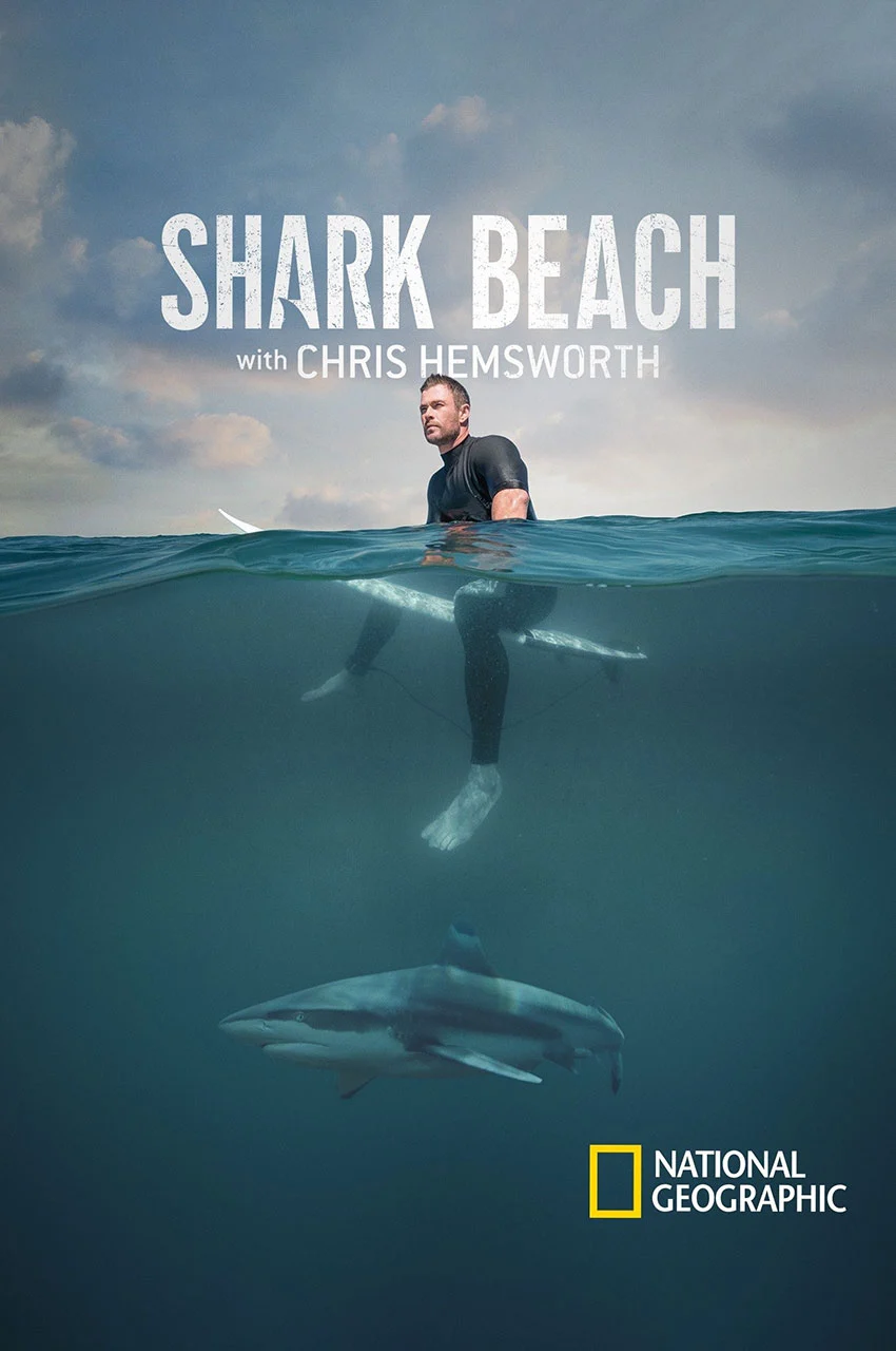 فیلم ساحل کوسه با کریس همسورث-shark beach with chris hemsworth