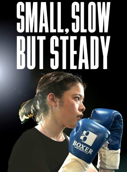 فیلم کوچک، آهسته اما ثابت-small, slow but steady
