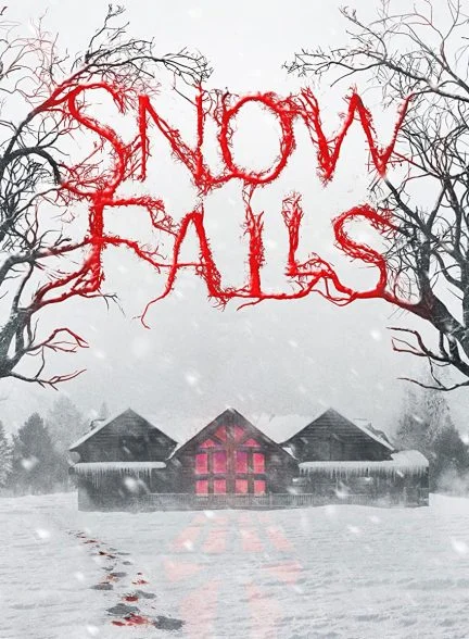 فیلم بارش برف-snow falls