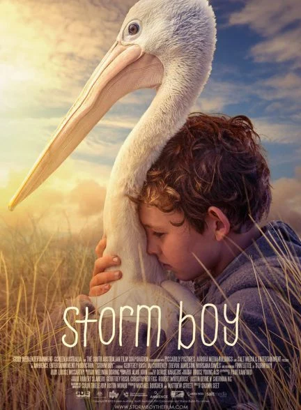 فیلم پسر طوفان-storm boy