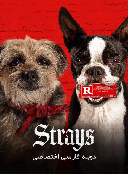 فیلم ولگردها-strays