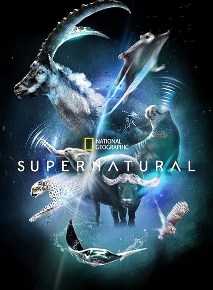 سریال فراتر از طبیعت-super/natural