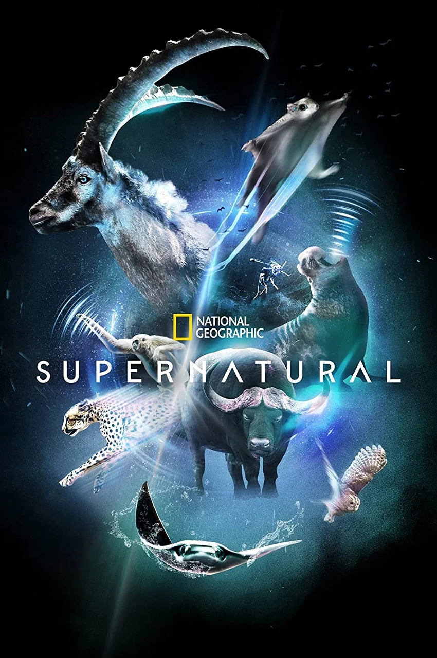 سریال فراتر از طبیعت-super/natural