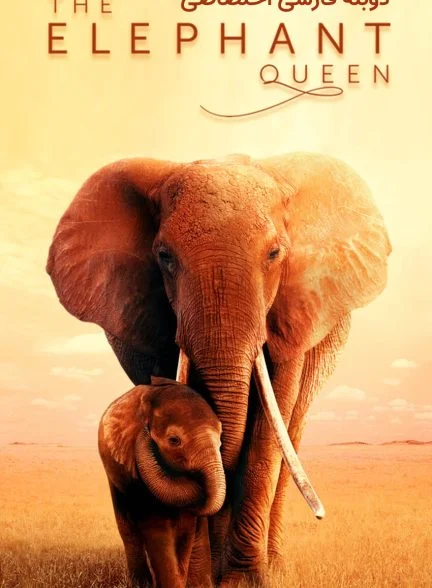 فیلم ملکه فیل-the elephant queen