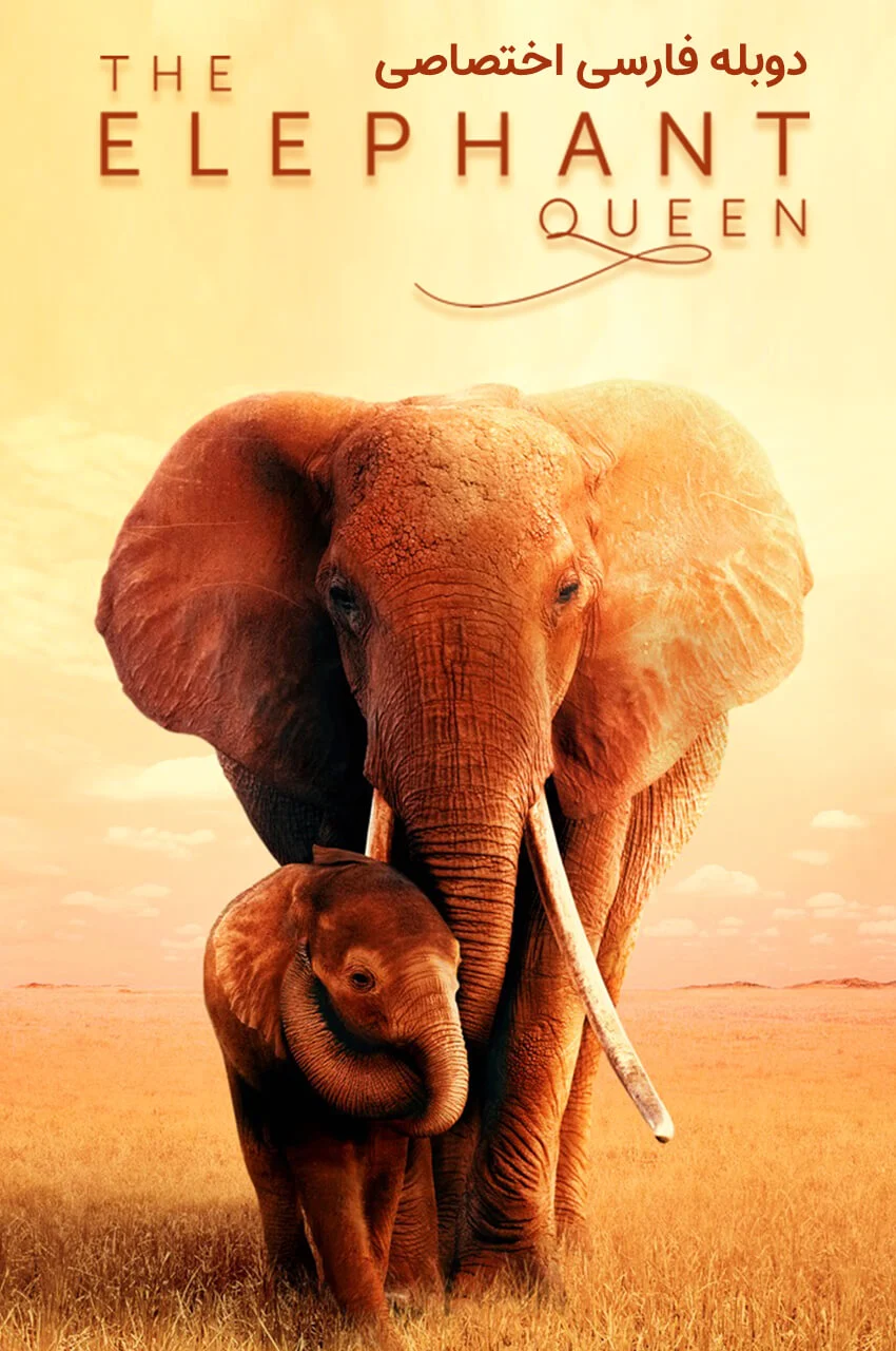 فیلم ملکه فیل-the elephant queen
