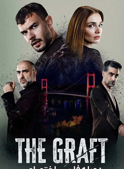 سریال آناتومی آشوب-the graft