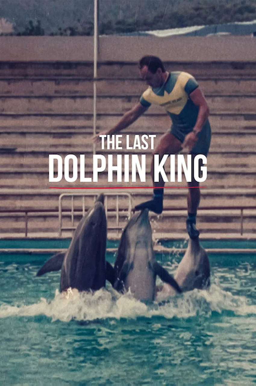 فیلم آخرین پادشاه دلفین ها-the last dolphin king