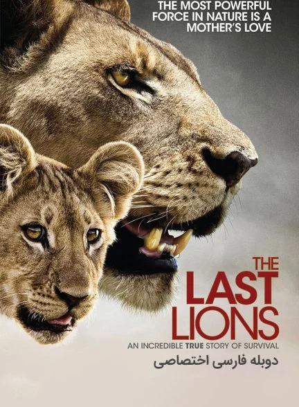 فیلم آخرین شیرها-the last lions