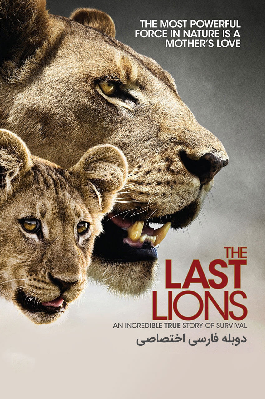 فیلم آخرین شیرها-the last lions