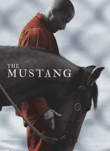 فیلم موستانگ-the mustang