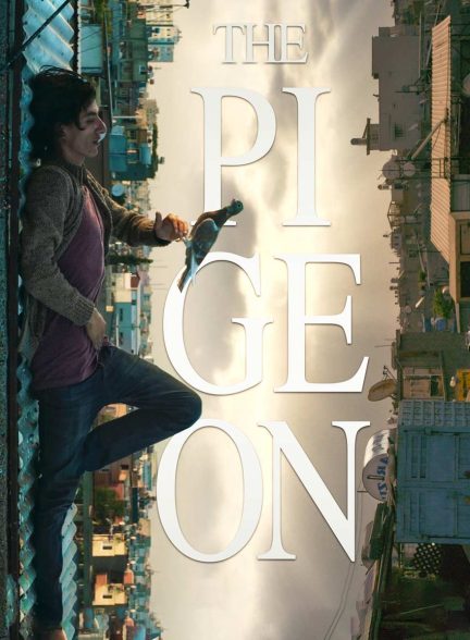 فیلم کبوتر-the pigeon