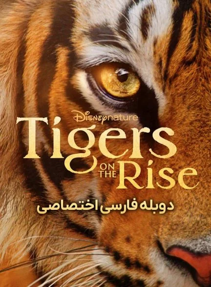 فیلم ببرهای در حال ظهور-tigers on the rise
