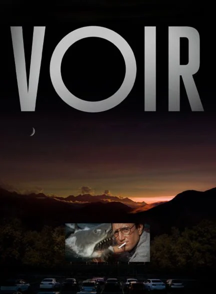 سریال تماشا کردن-voir