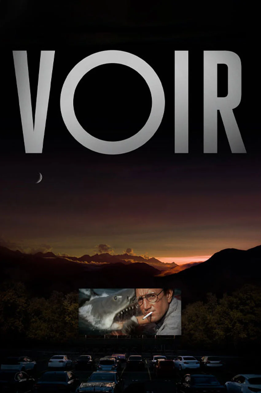 سریال تماشا کردن-voir
