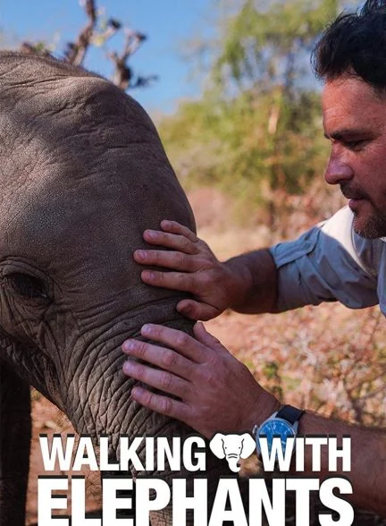 فیلم قدم زدن با فیل ها-walking with elephants