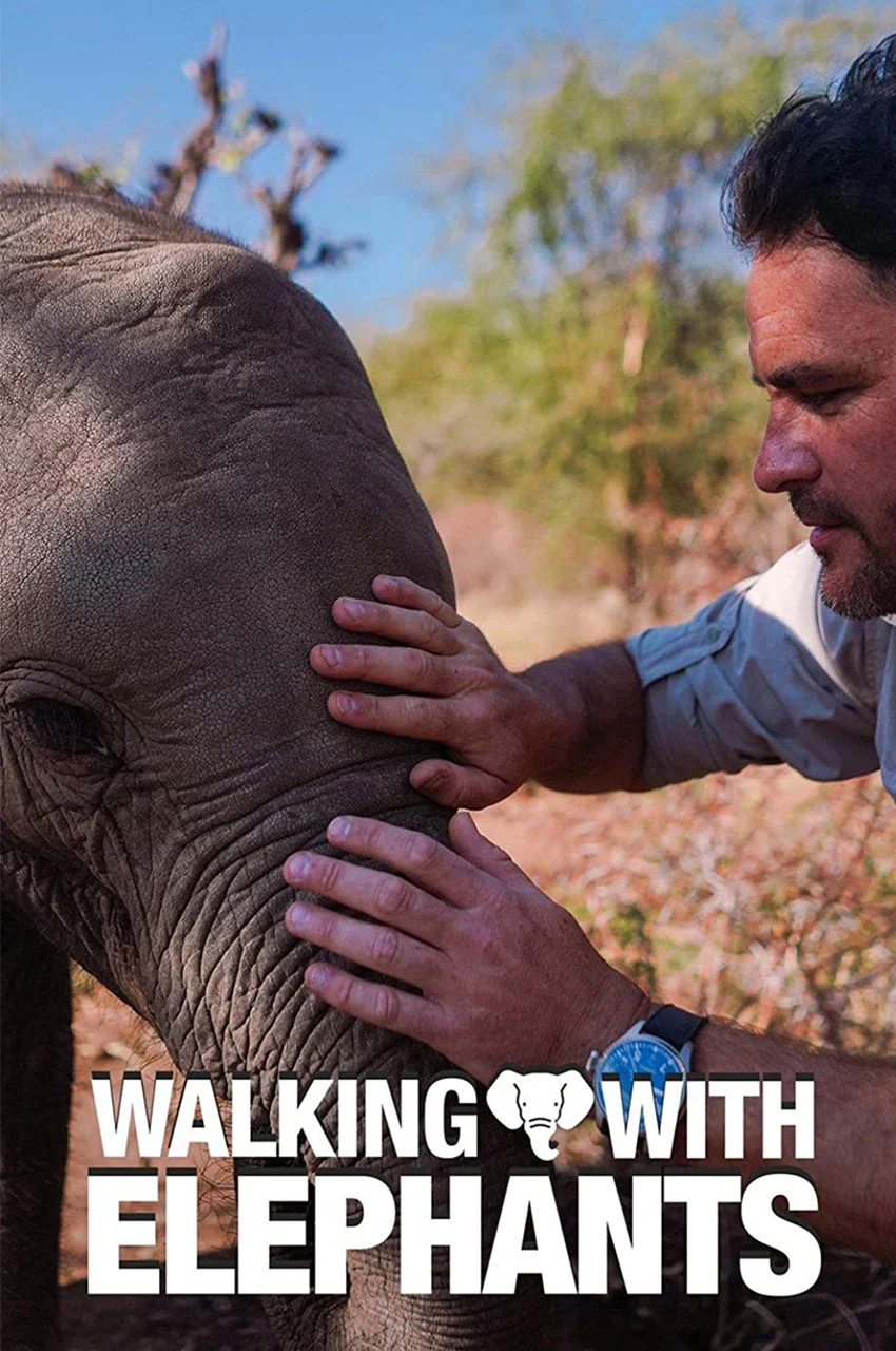 فیلم قدم زدن با فیل ها-walking with elephants