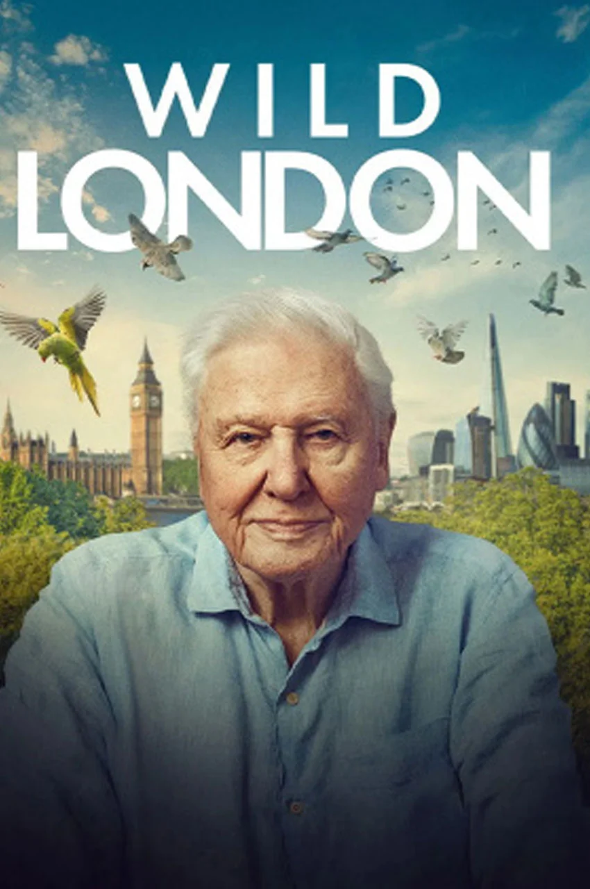 فیلم لندن وحشی-wild london