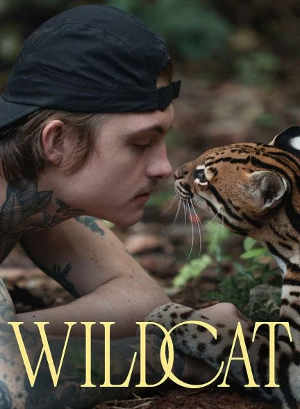 فیلم گربه وحشی-wildcat
