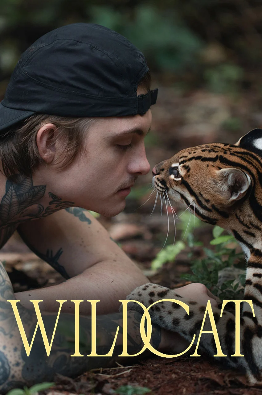 فیلم گربه وحشی-wildcat