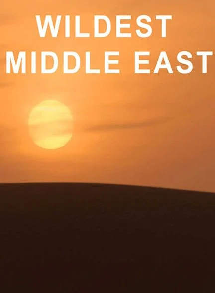 سریال حیات وحش خاورمیانه-wildest middle east