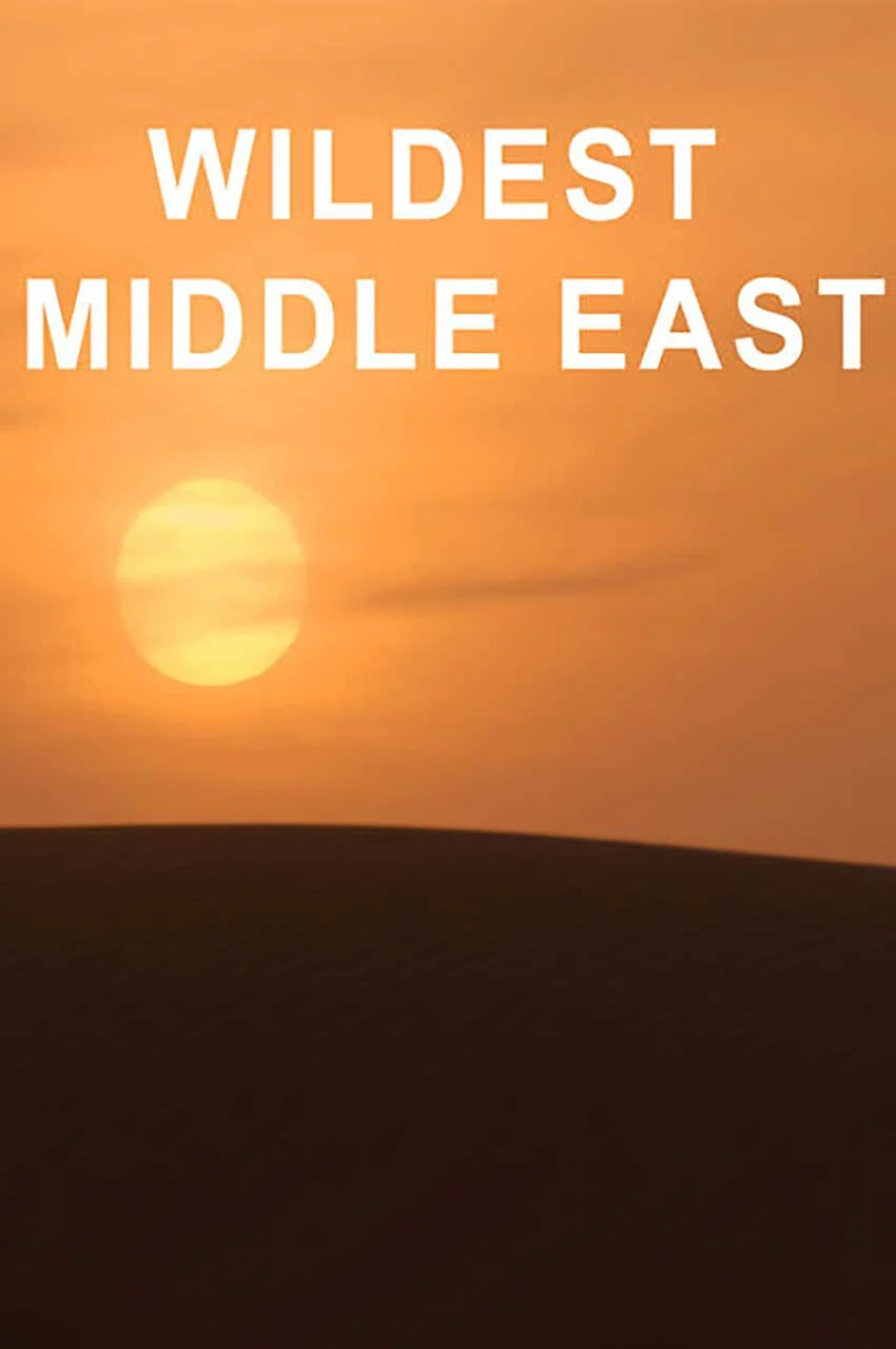 سریال حیات وحش خاورمیانه-wildest middle east